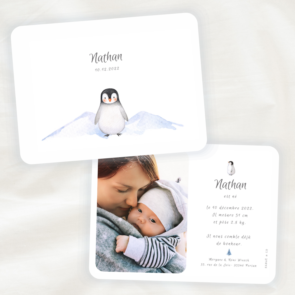 faire-part-naissance-pingouin