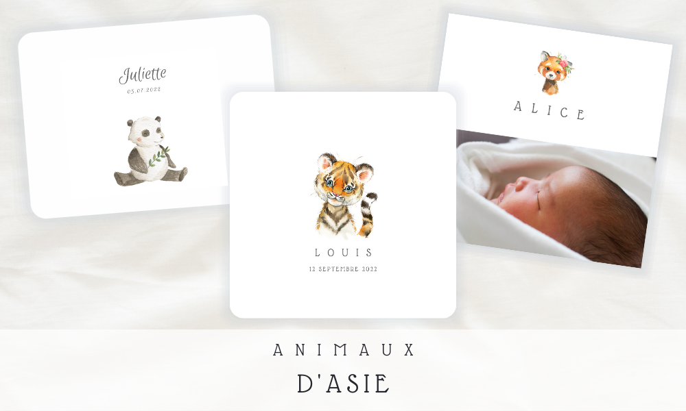 Faire-part Naissance Animaux d'Asie