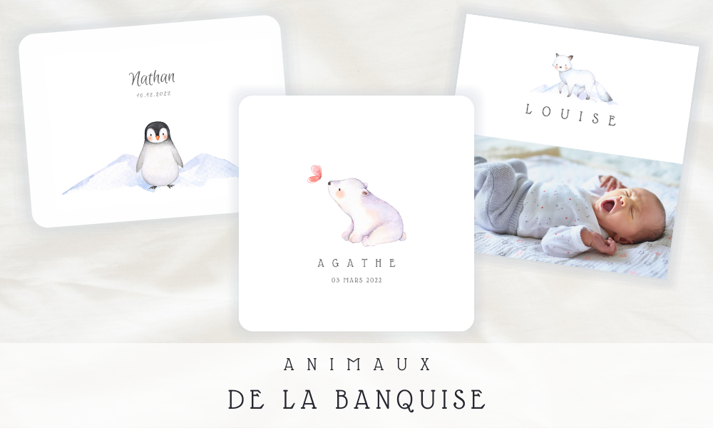 Faire-part Naissance Animaux de la Banquise