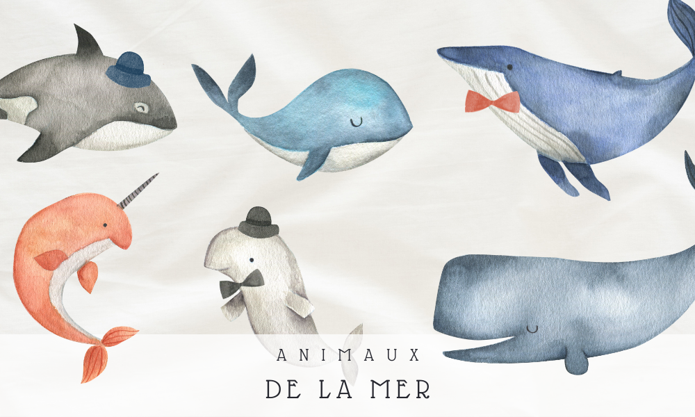 Faire-part Naissance Animaux de la Mer