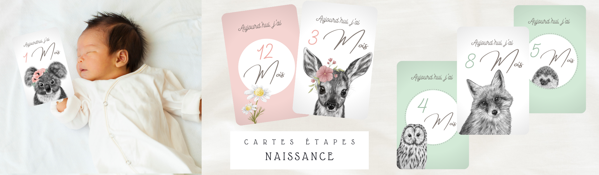 Carte Etape Bebe