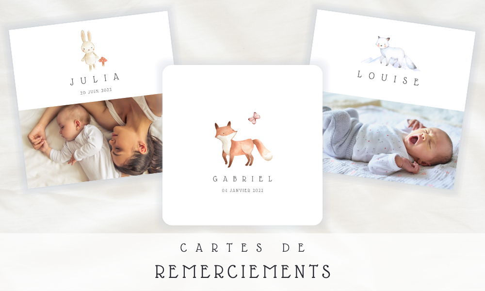 Carte Remerciement Naissance
