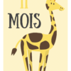 Cartes étapes Bébé