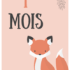Cartes étapes Bébé