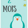 Cartes étapes Bébé