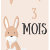 Cartes étapes Bébé