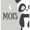 Cartes étapes Bébé