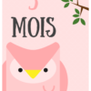 Cartes étapes Bébé