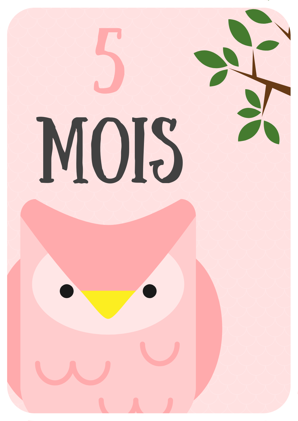 Cartes étapes Bébé
