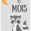Cartes étapes Bébé