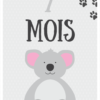 Cartes étapes Bébé
