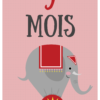 Cartes étapes Bébé