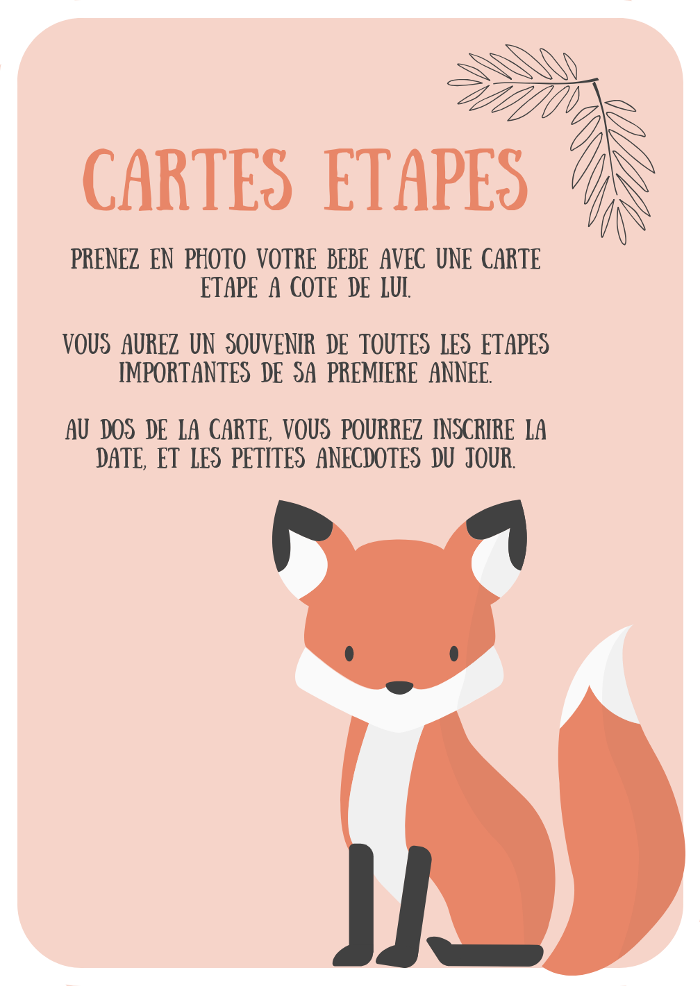 Cartes étapes Bébé