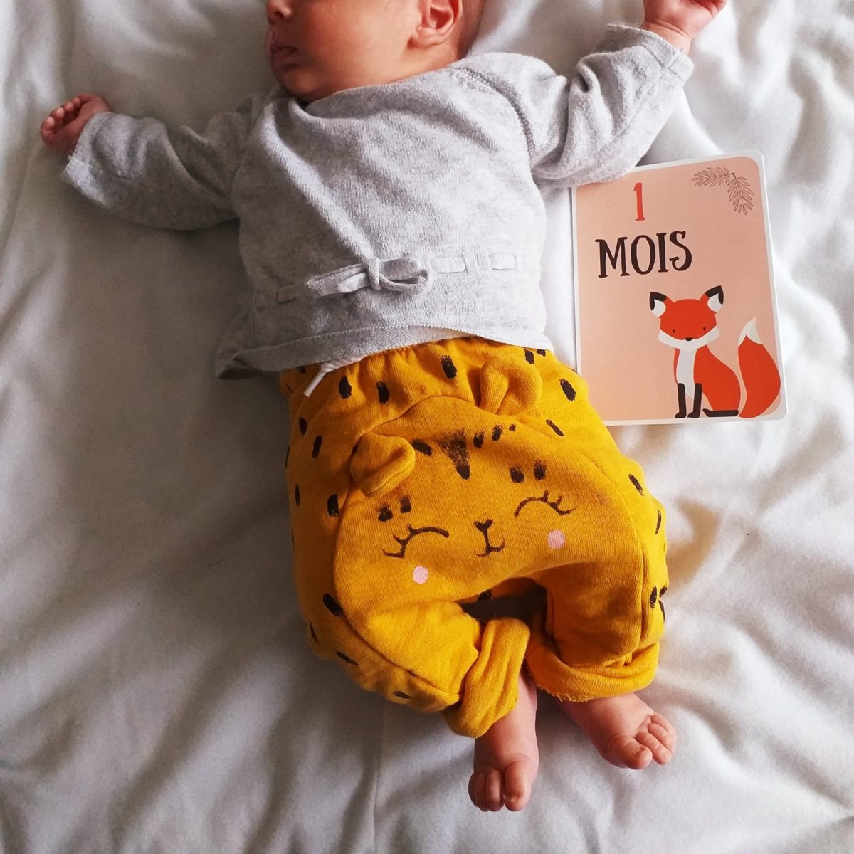 Cartes étapes Bébé
