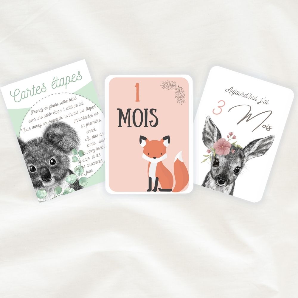 Cartes étapes Bébé