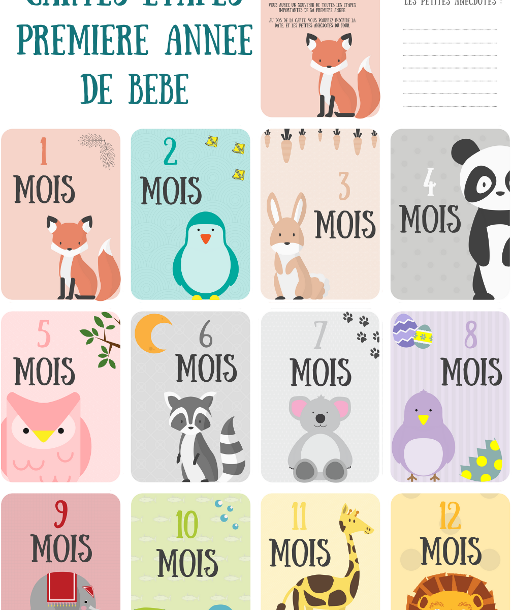 Cartes étapes Bébé