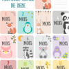 Cartes étapes Bébé