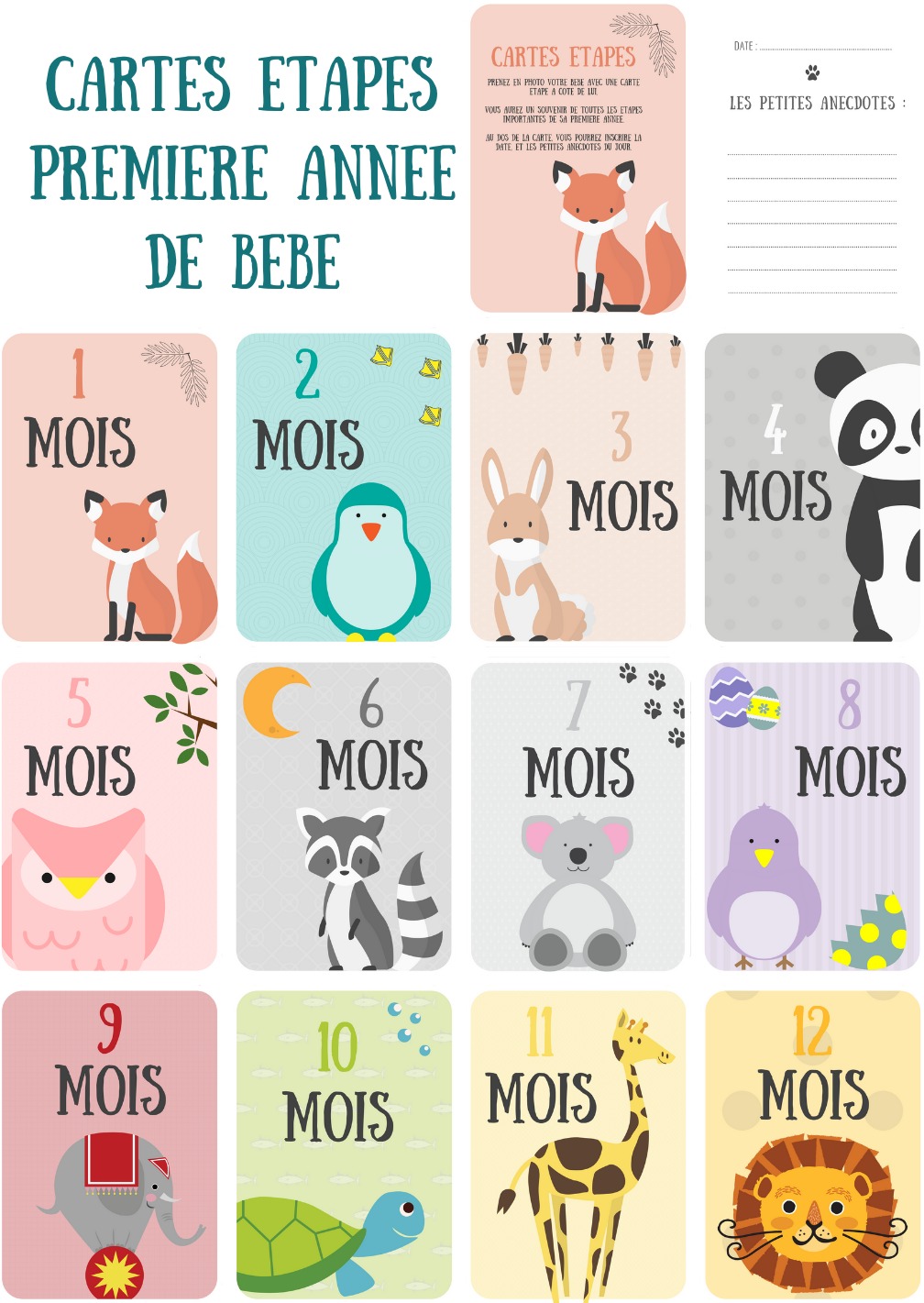 Cartes étapes Bébé