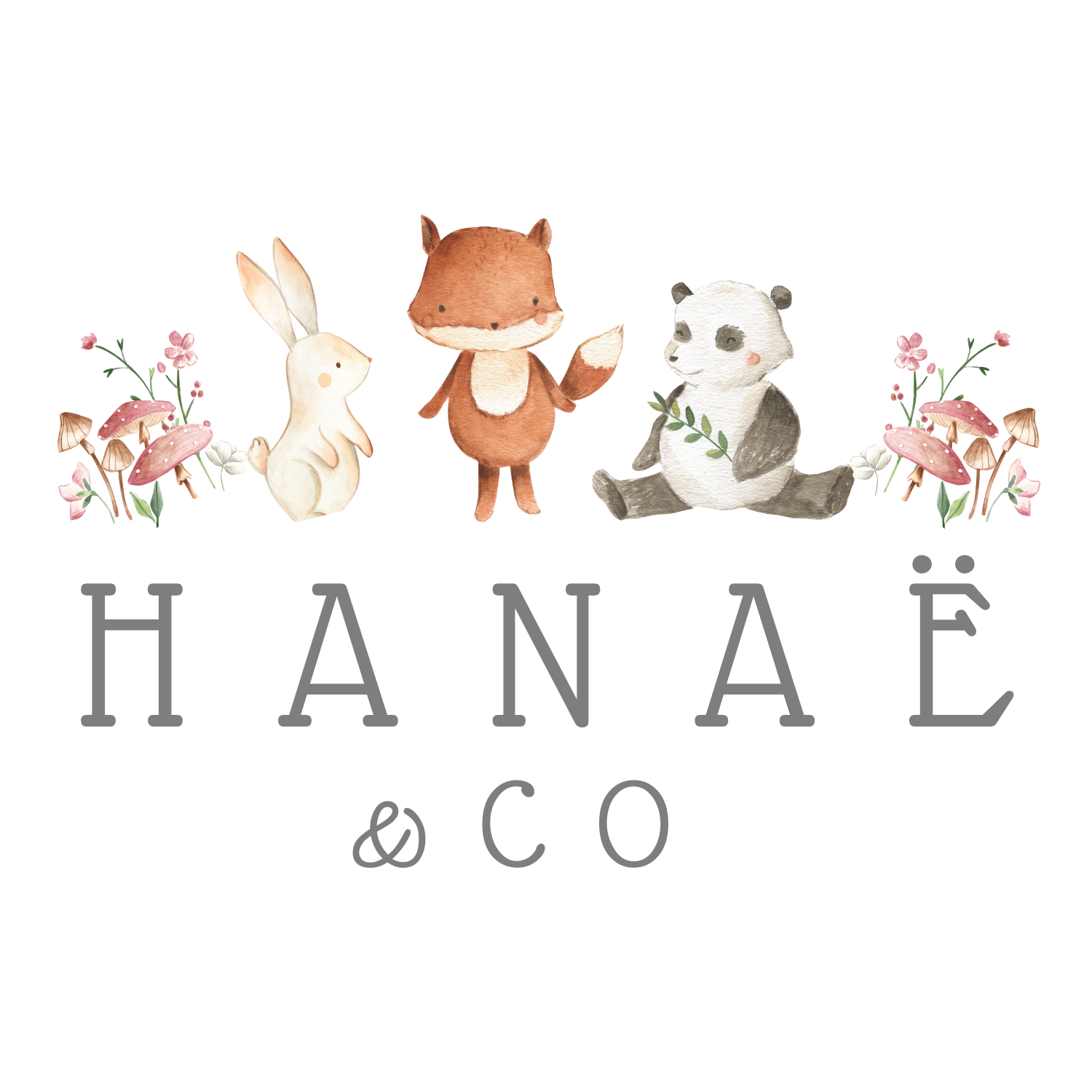 hanae-and-co-logo-carre-faire-part-naissance-animaux