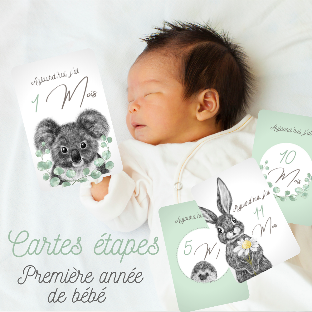 Cartes étapes Bébé