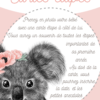 Cartes étapes Bébé