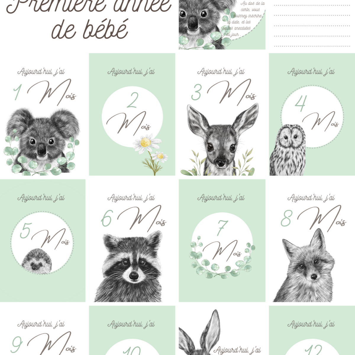 Cartes étapes Bébé