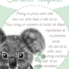 Cartes étapes Bébé