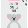 Cartes étapes Bébé