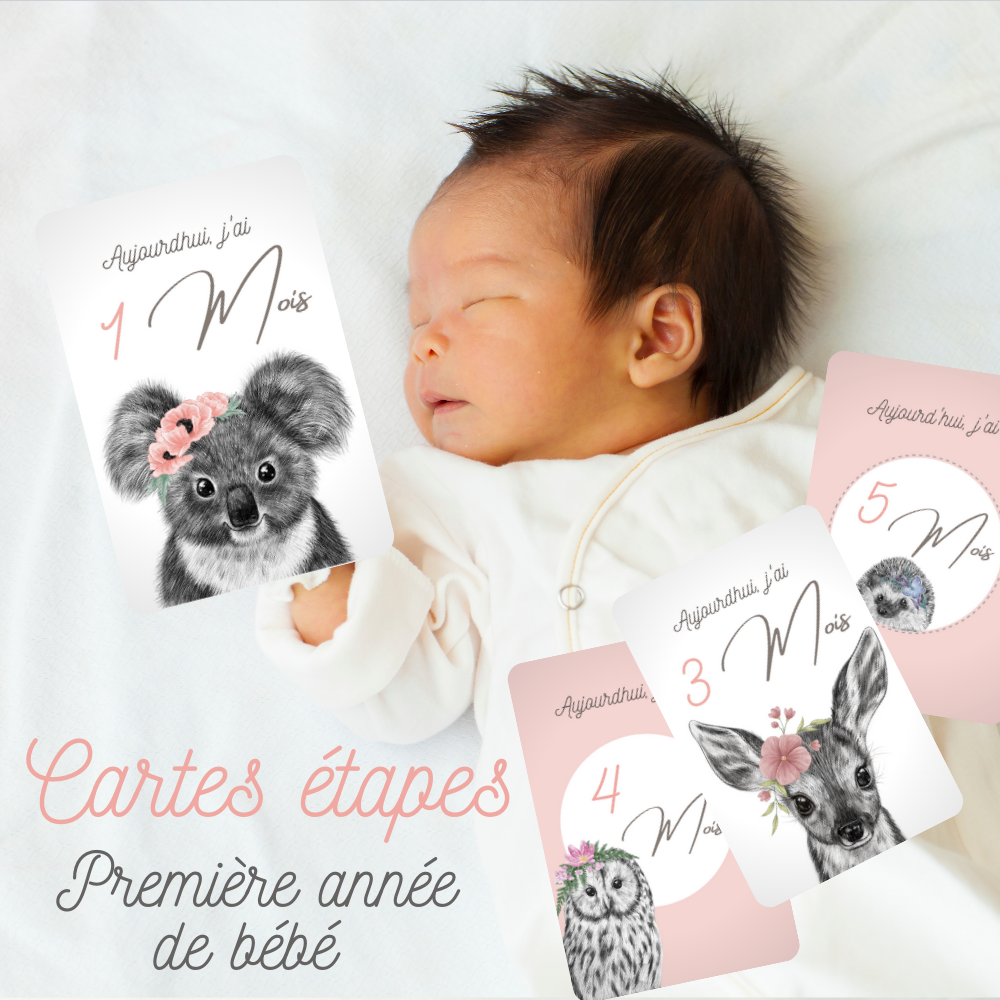 Cartes étapes Bébé