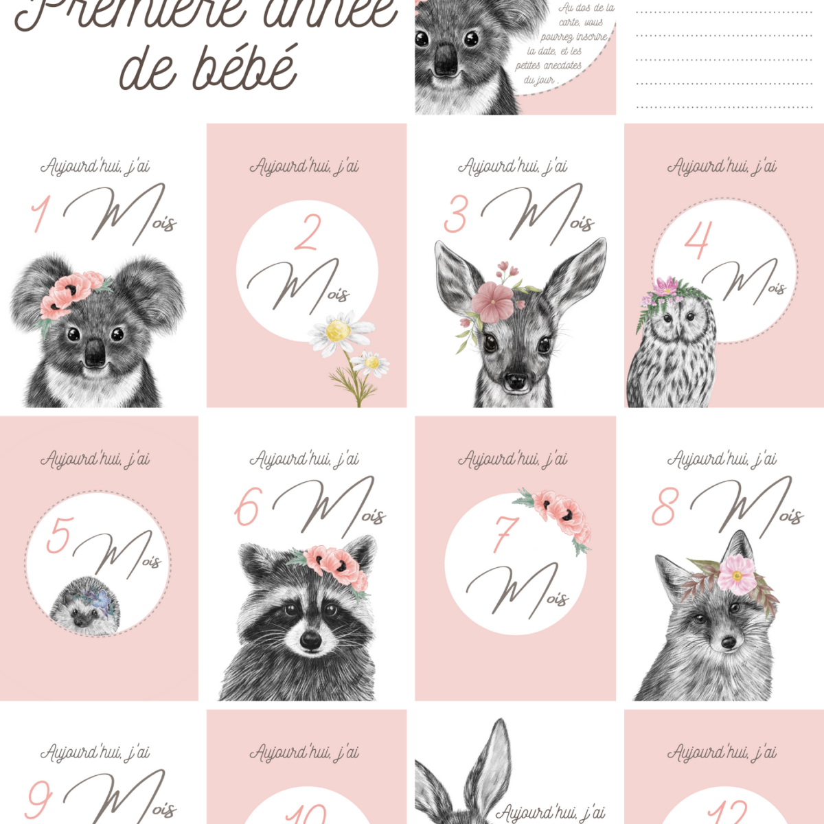 Cartes étapes Bébé